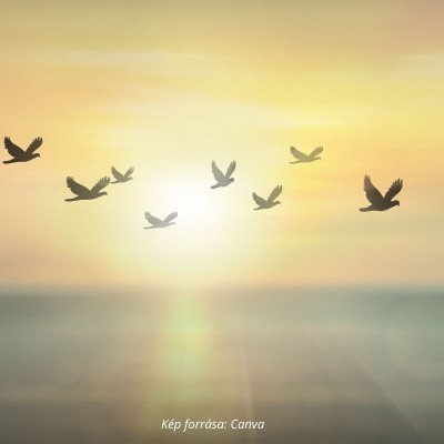 Hogyan motiválhatom a csapatomat?